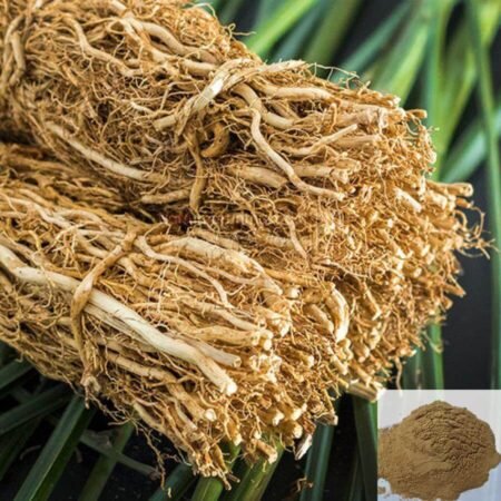 Vetiver Powder / வெட்டிவேர் - 50g