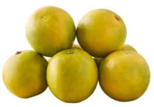 Mosambi / சாத்துக்குடி - 1Kg